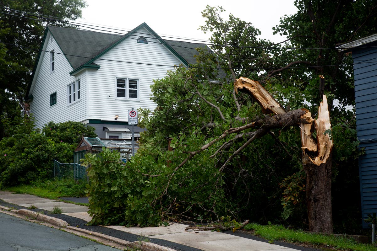 Hurricane Larry wipes out power, trees in Newfoundland Hurricane Larry wipes out power, trees in Newfoundland