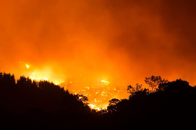 <p>The wildfire as seen from the village of Cartajima, Malaga, Andalucia on Sunday 12 September </p>