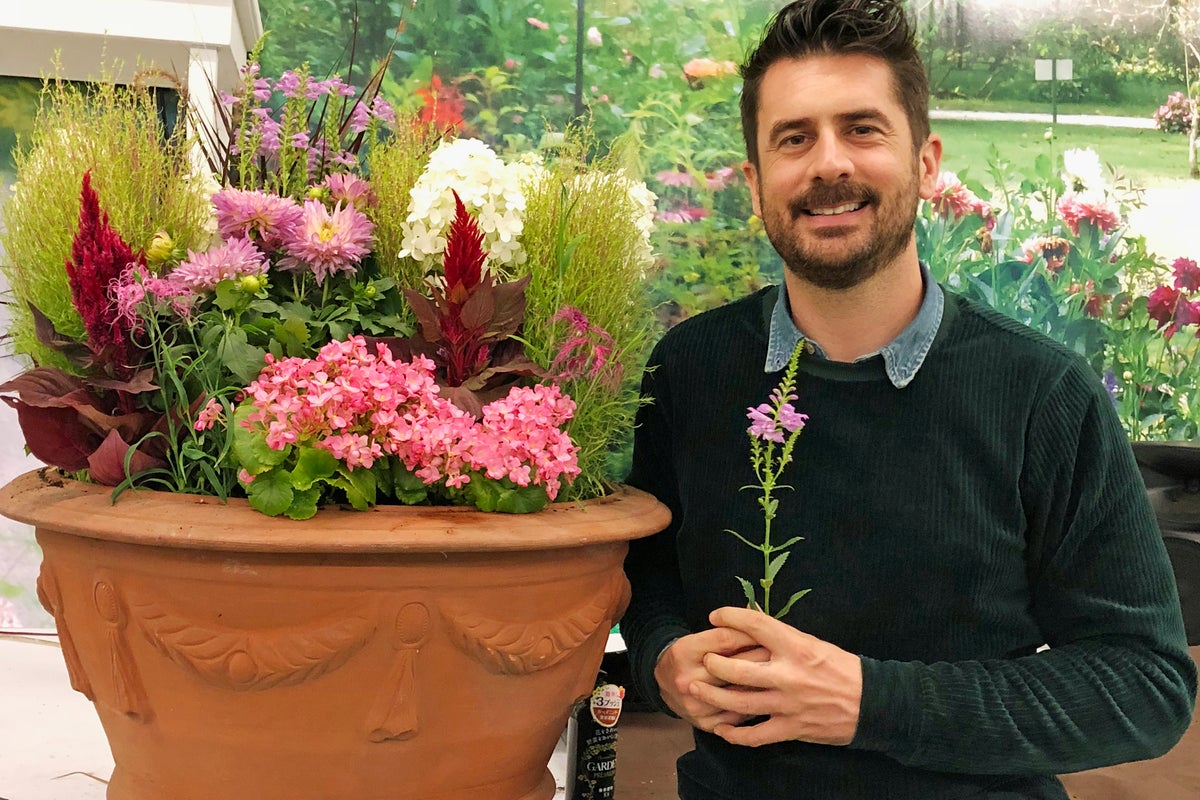 What exactly is Barakura-style gardening – and how do you do it? | The ...