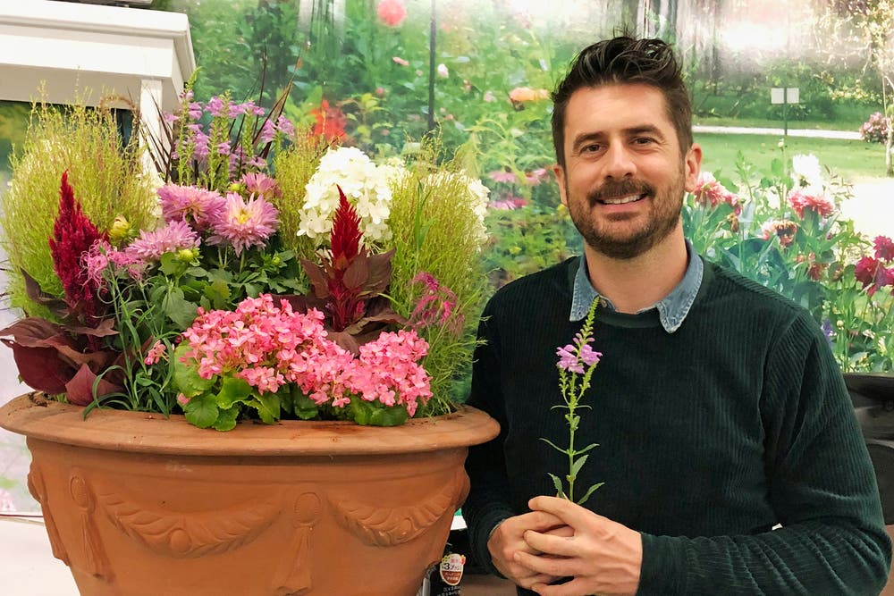 What exactly is Barakura-style gardening – and how do you do it? | The ...