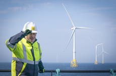 Government pledges £265m more each year to support renewable energy