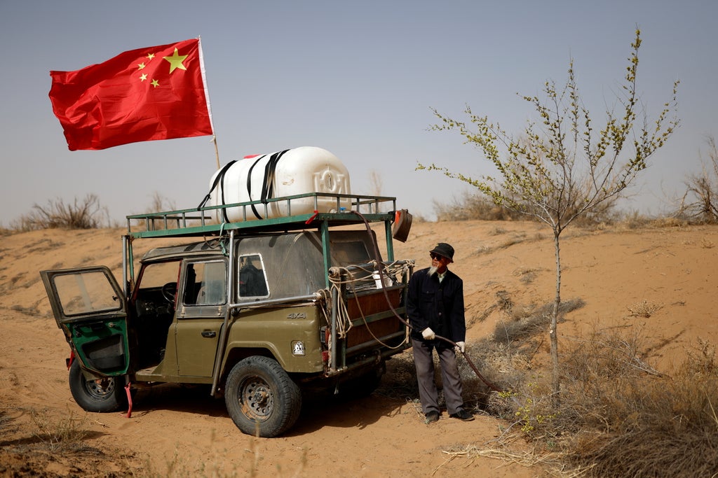 Can the Great Green Wall save China from the climate crisis?