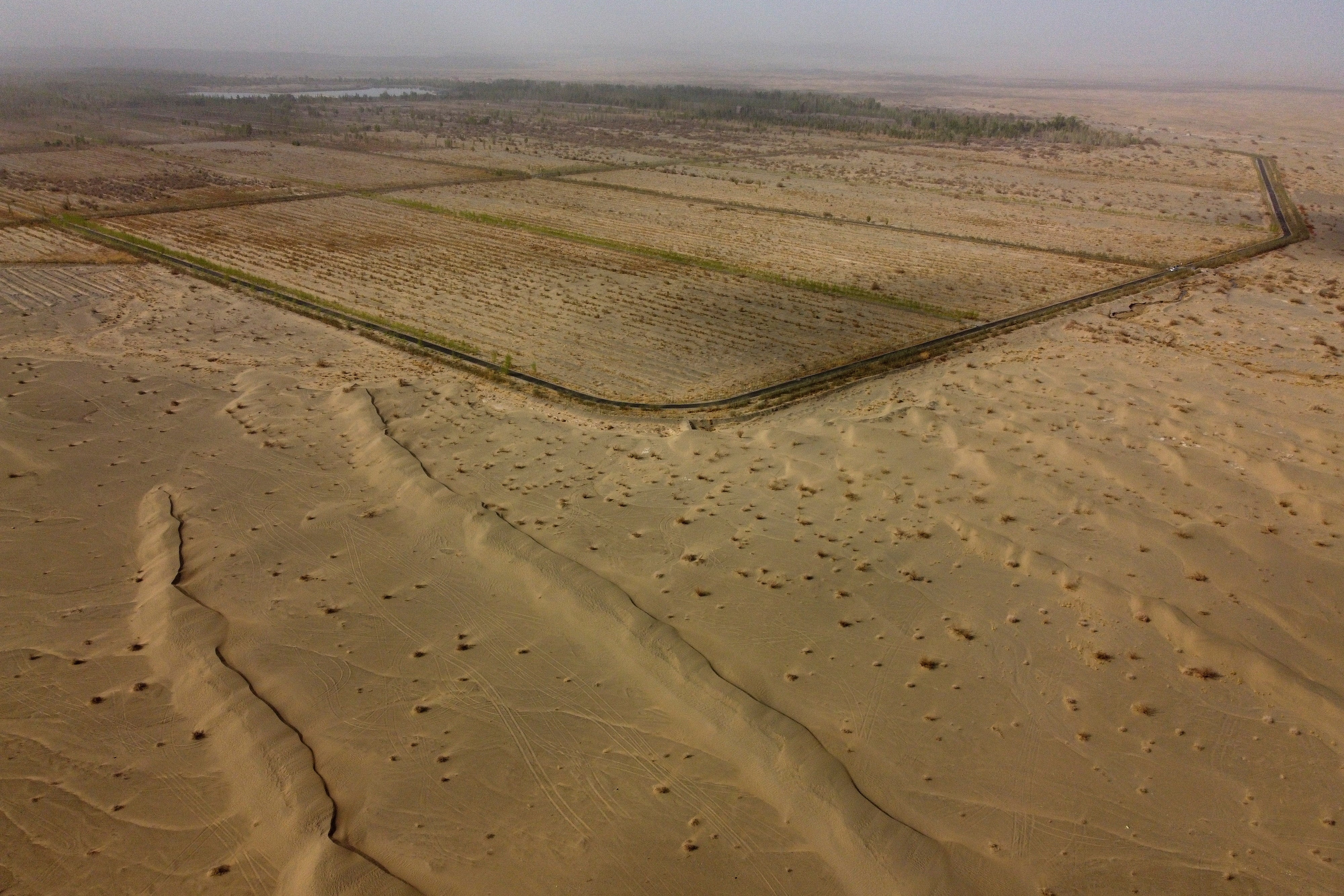 Lines of trees next to a road mark the border between the desert and one of the sections of the Yangguan state-backed forest farm on the edge of the desert