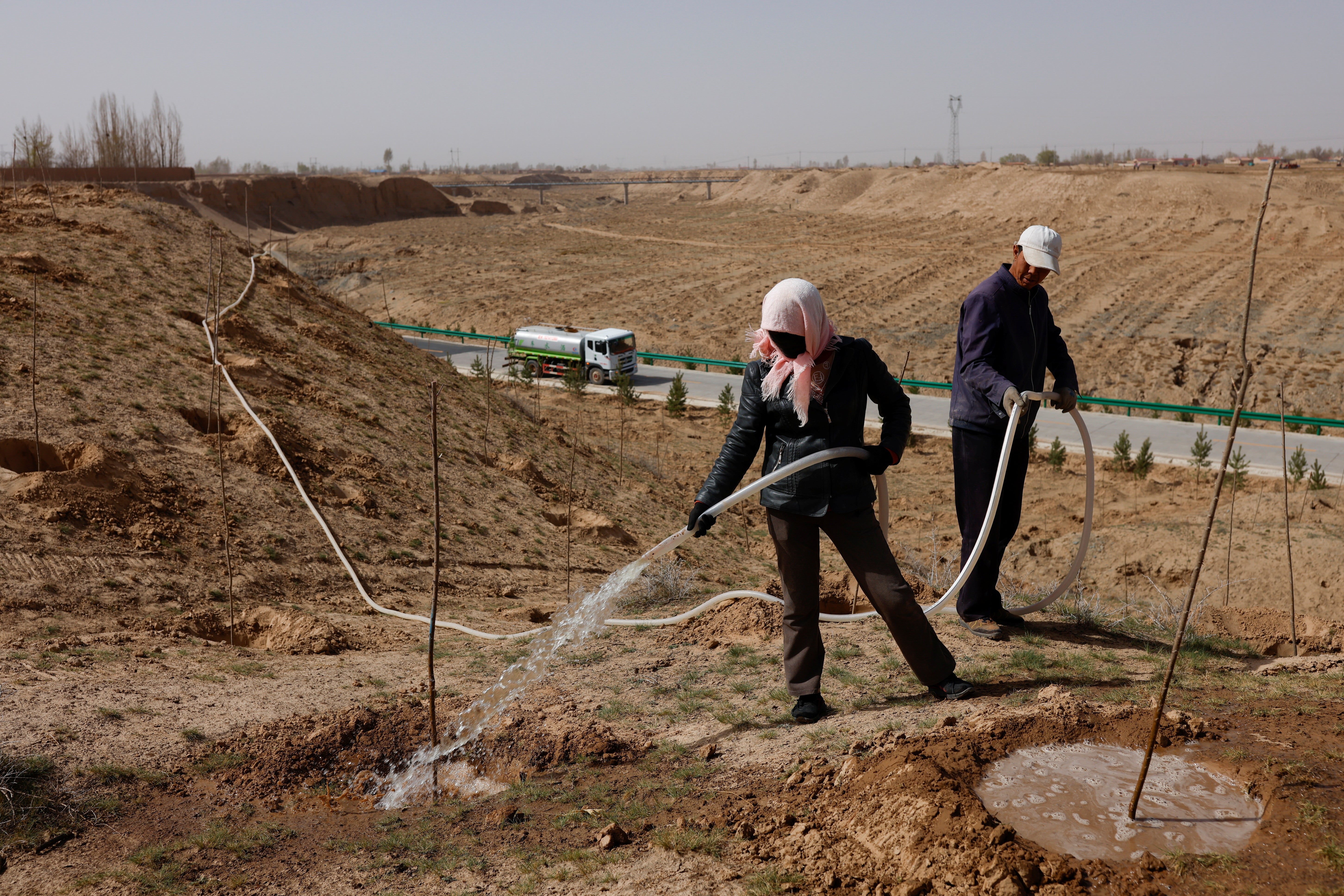 Workers water recently planted trees