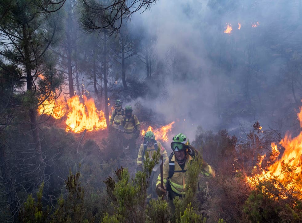 EXPLOTACION AMBIENTAL