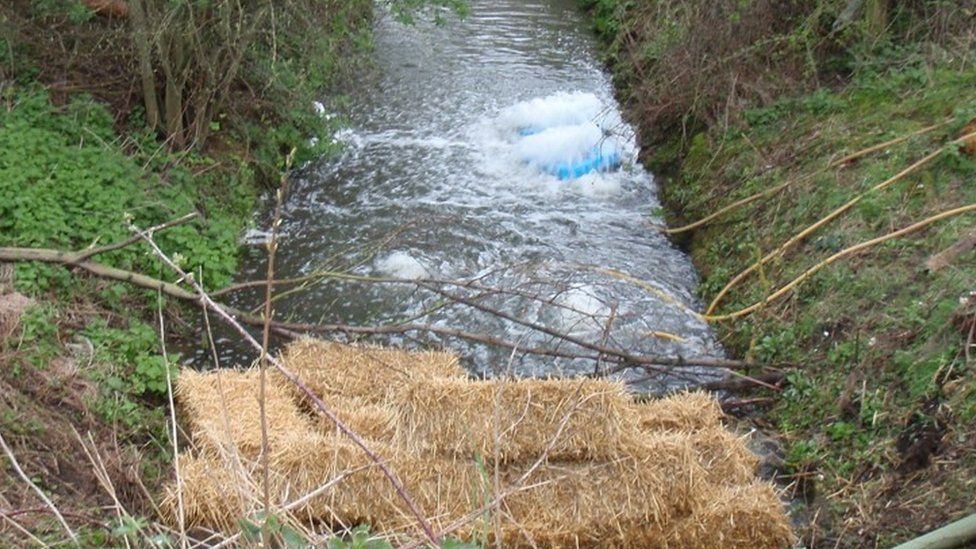 Hay bales being used at Potteric Carr after sewage leak