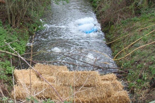 <p>Hay bales being used at Potteric Carr after sewage leak</p>