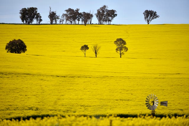 Australia Agriculture