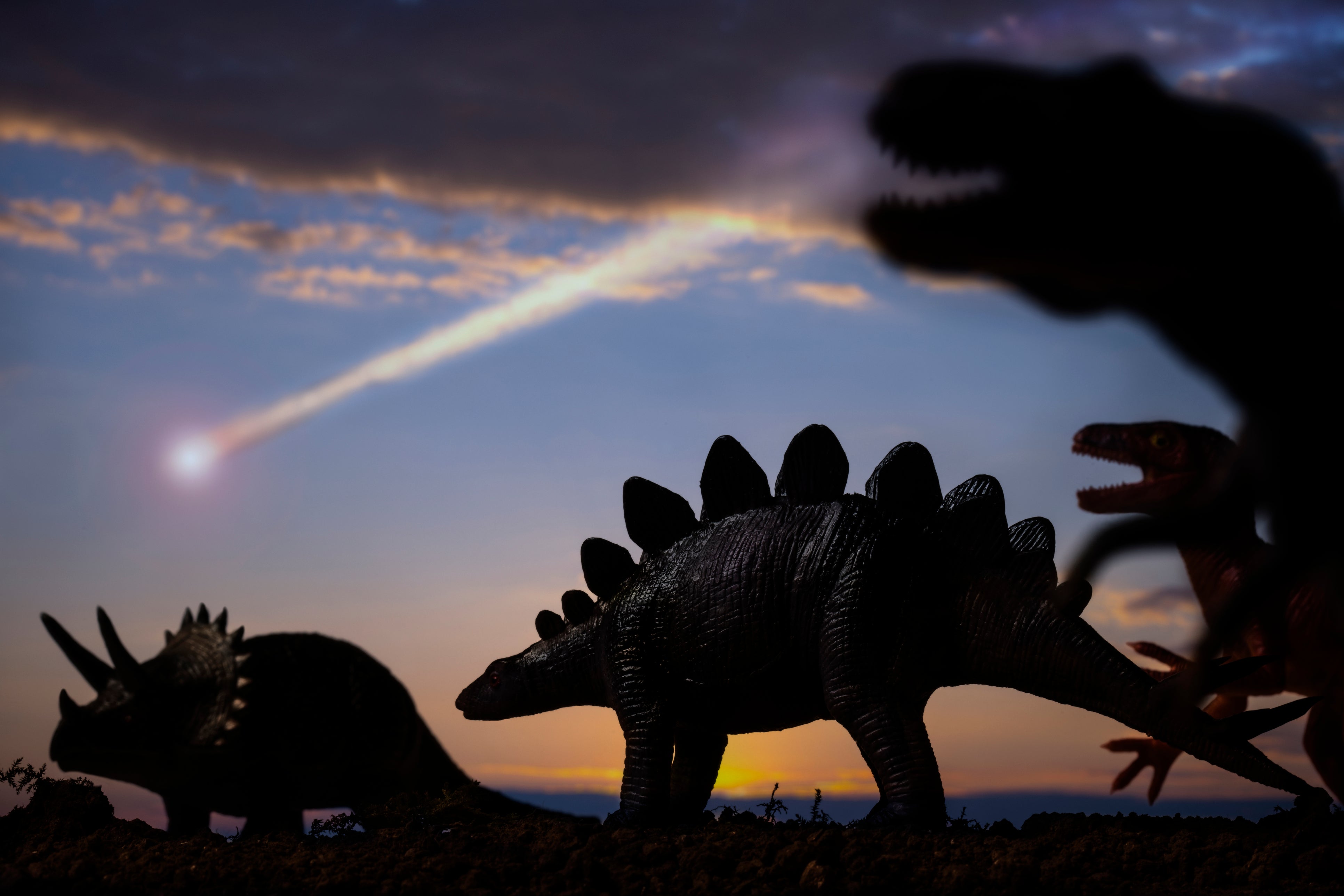 The meteorite theory of dinosaur extinction has become a ‘Rosetta Stone’ for scientists