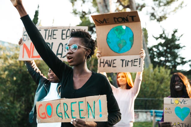<p>Young activist  protesting the climate crisis  </p>
