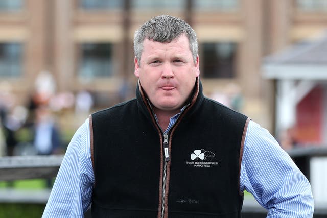 <p>Gordon Elliott returned to action at Punchestown on Tuesday </p>