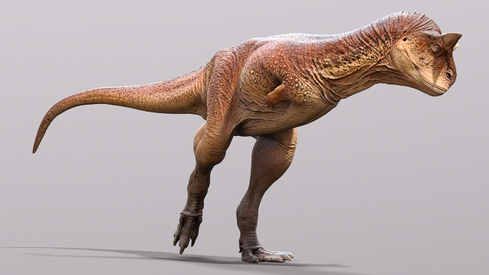 An artist’s reconstruction of Carnotaurus based on the new insights about its scaly skin