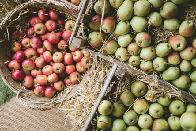 These are the top UK harvest festivals (Heligan/PA)