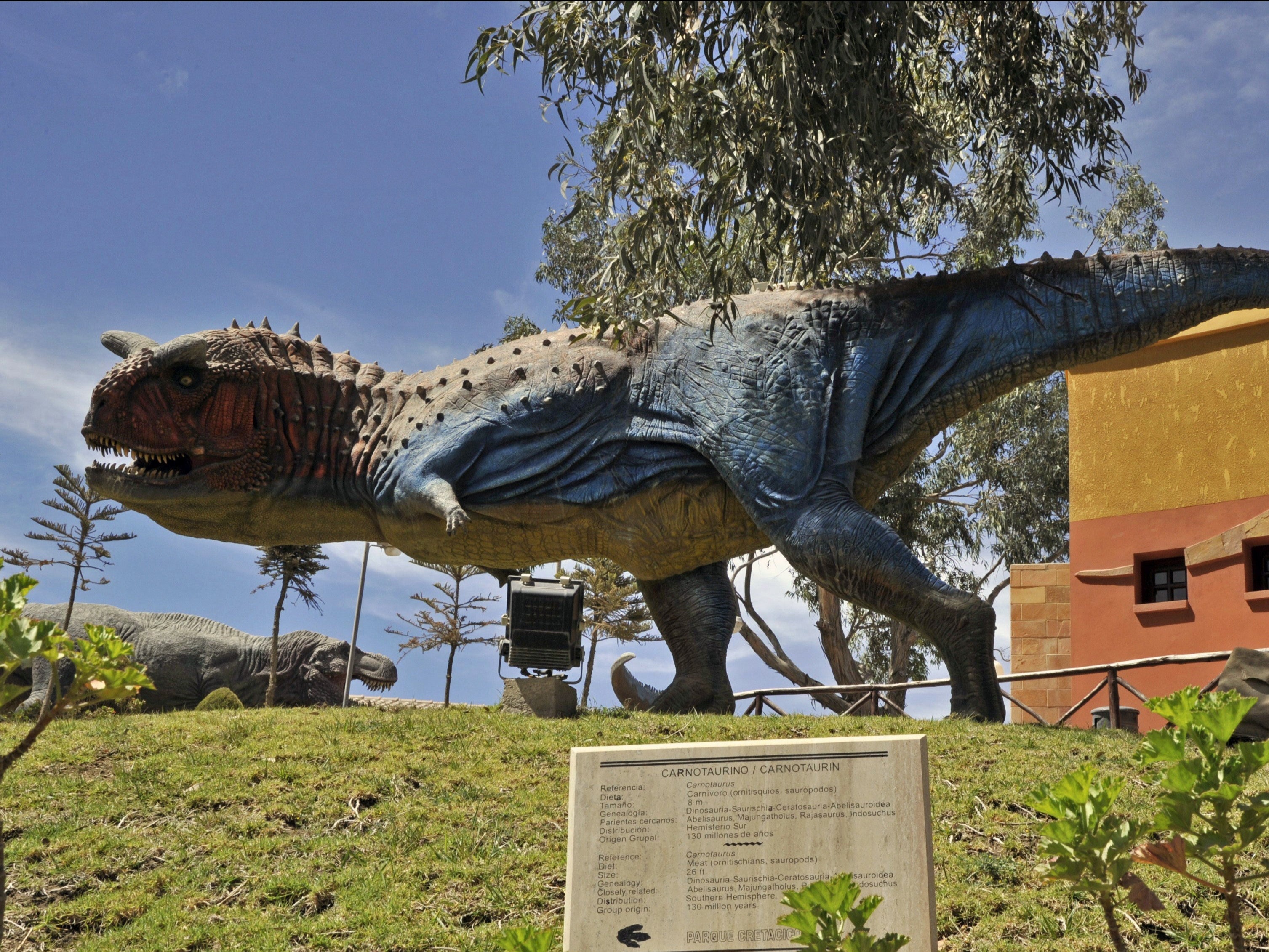 View of a Carnotaurus replica on dispaly at the Cretaceous Park in Cal Orcko hill in Sucre