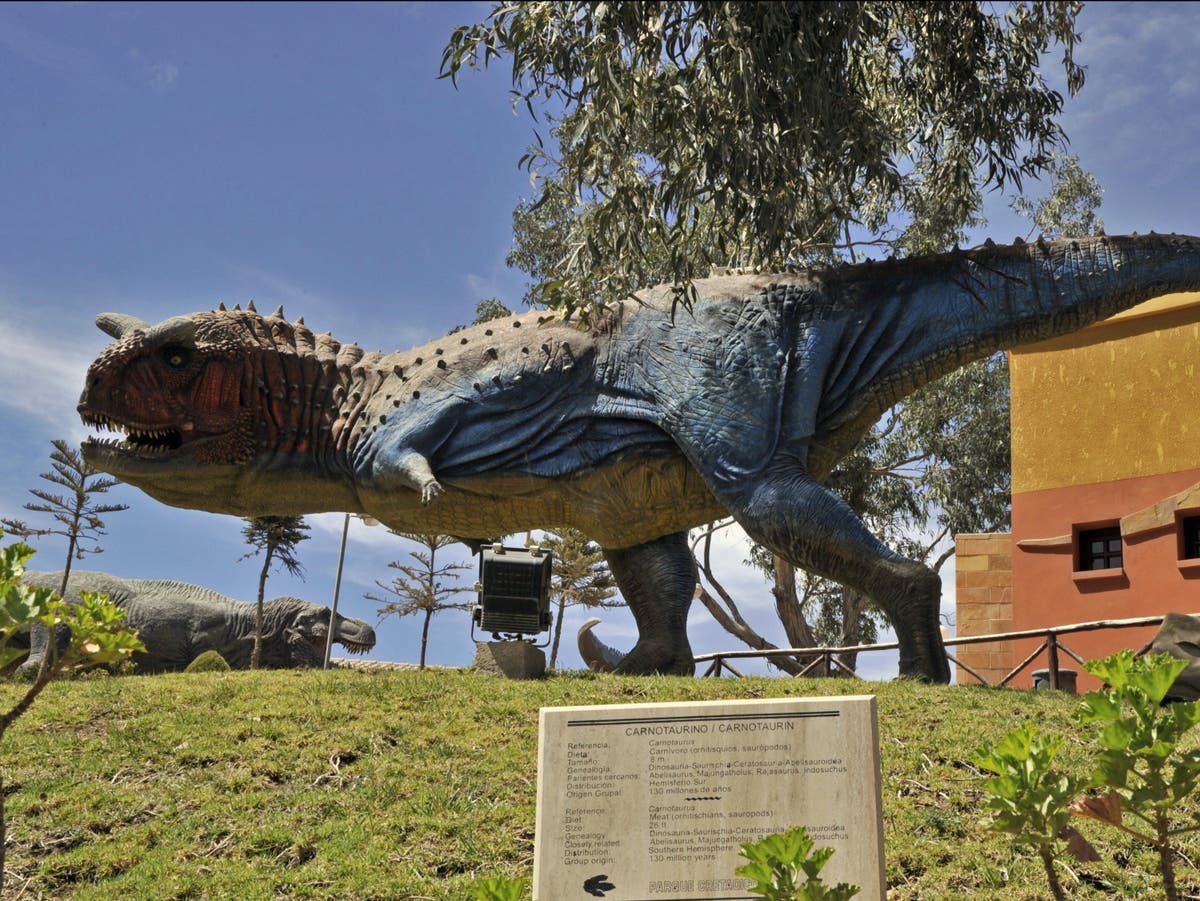 Rara piel de dinosaurio fosilizada revela cómo se veía realmente famoso  carnívoro | Independent Español