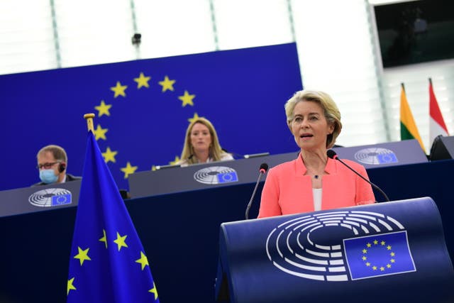 <p>President of the European Commission, Ursula von der Leyen</p>