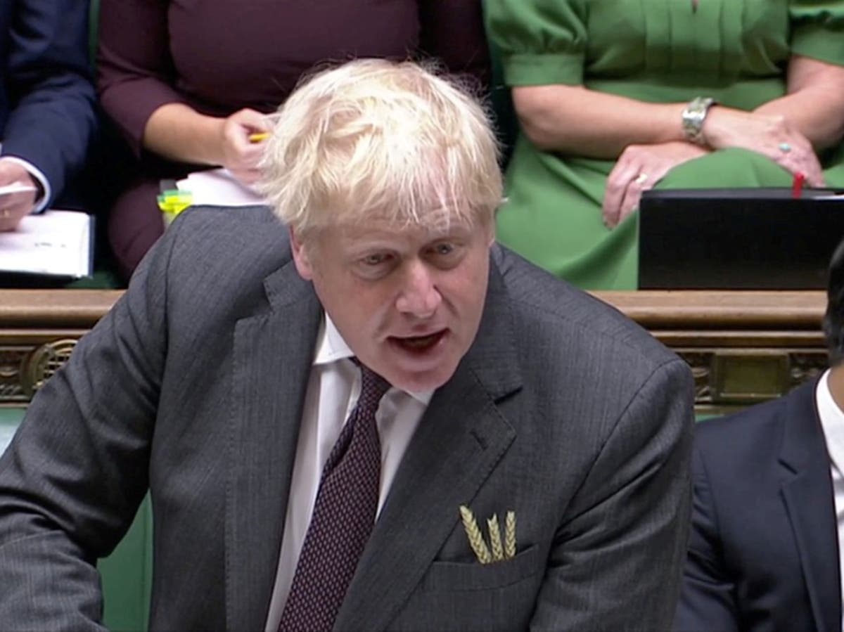 why is boris johnson wearing a wheat sheaf on his lapel the independent