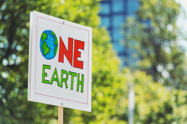 <p>‘The successful climate movement won’t be radical or moderate – it will be both’ </p>