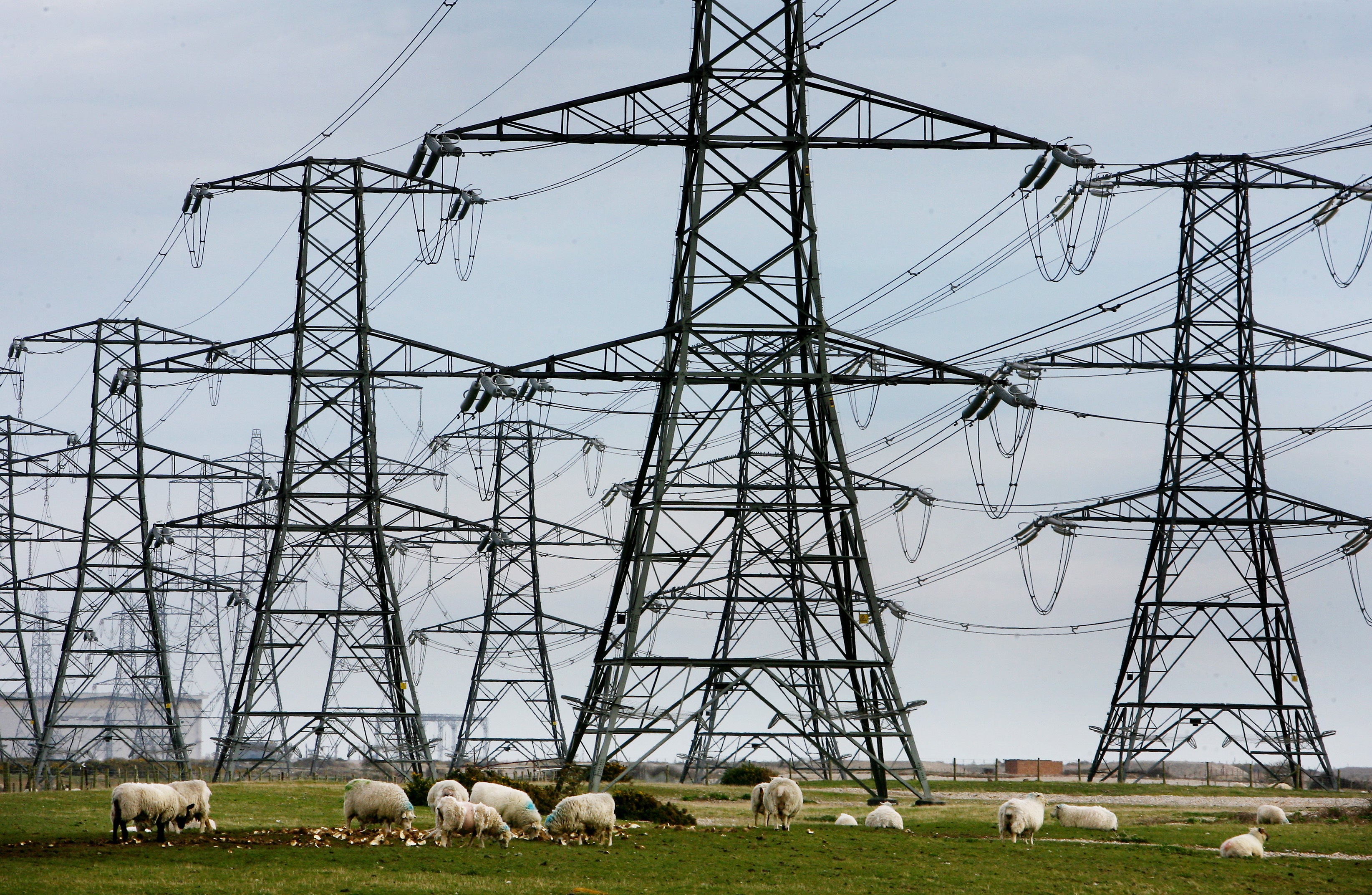 <p>A view of overhead power cables from the Dungeness Nuclear Power Station and stretching across the Kent countryside</p>