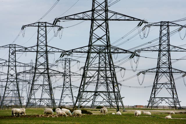 <p>A view of overhead power cables from the Dungeness Nuclear Power Station and stretching across the Kent countryside</p>