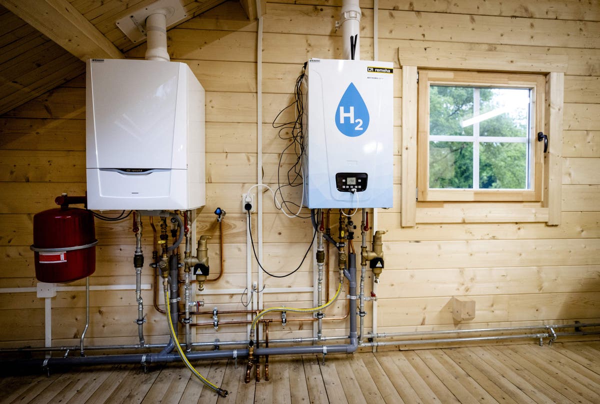 Scientists ‘concerned’ over government plans for hydrogen home heating