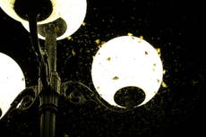 Use torches instead of expanding street lighting to rural areas, urges government climate adviser