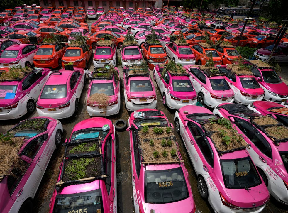 JARDINES EN TECHOS DE TAXIS