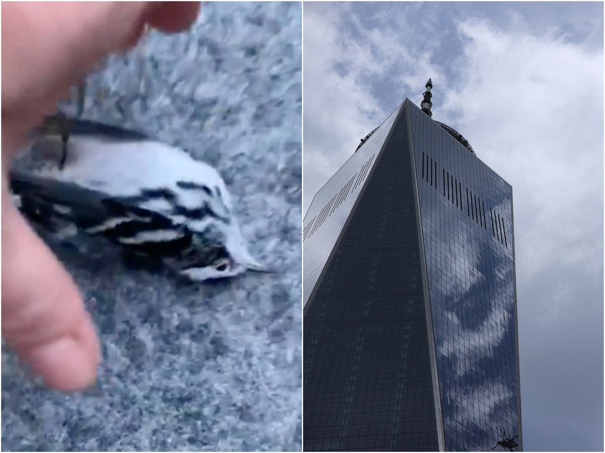 one world trade center camera