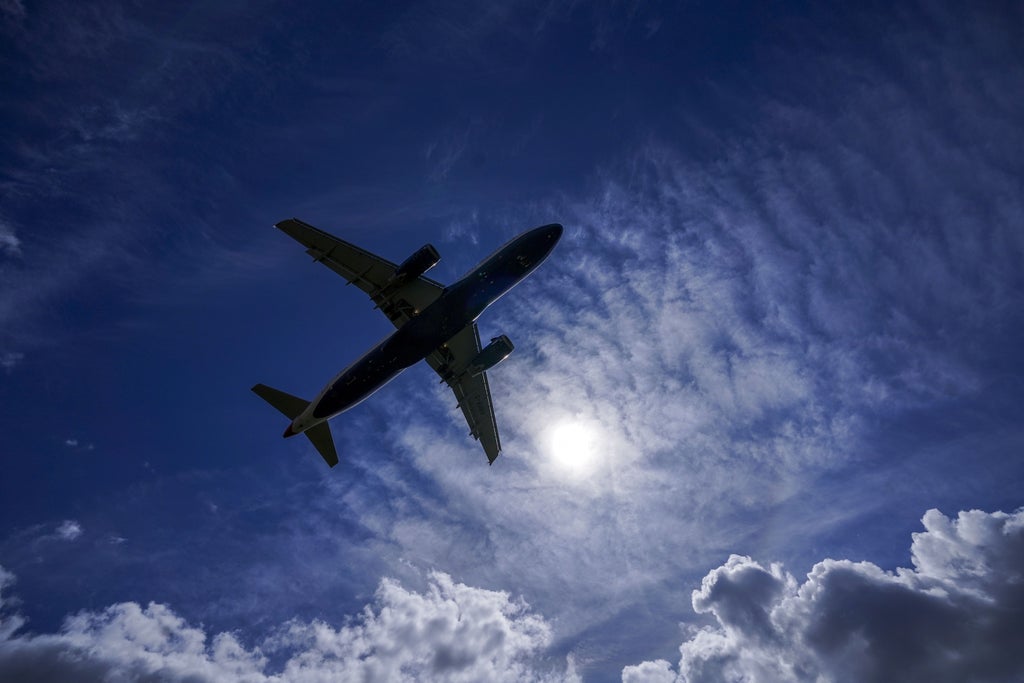 Man in garden ‘splattered by sewage dropped by plane flying over Windsor’