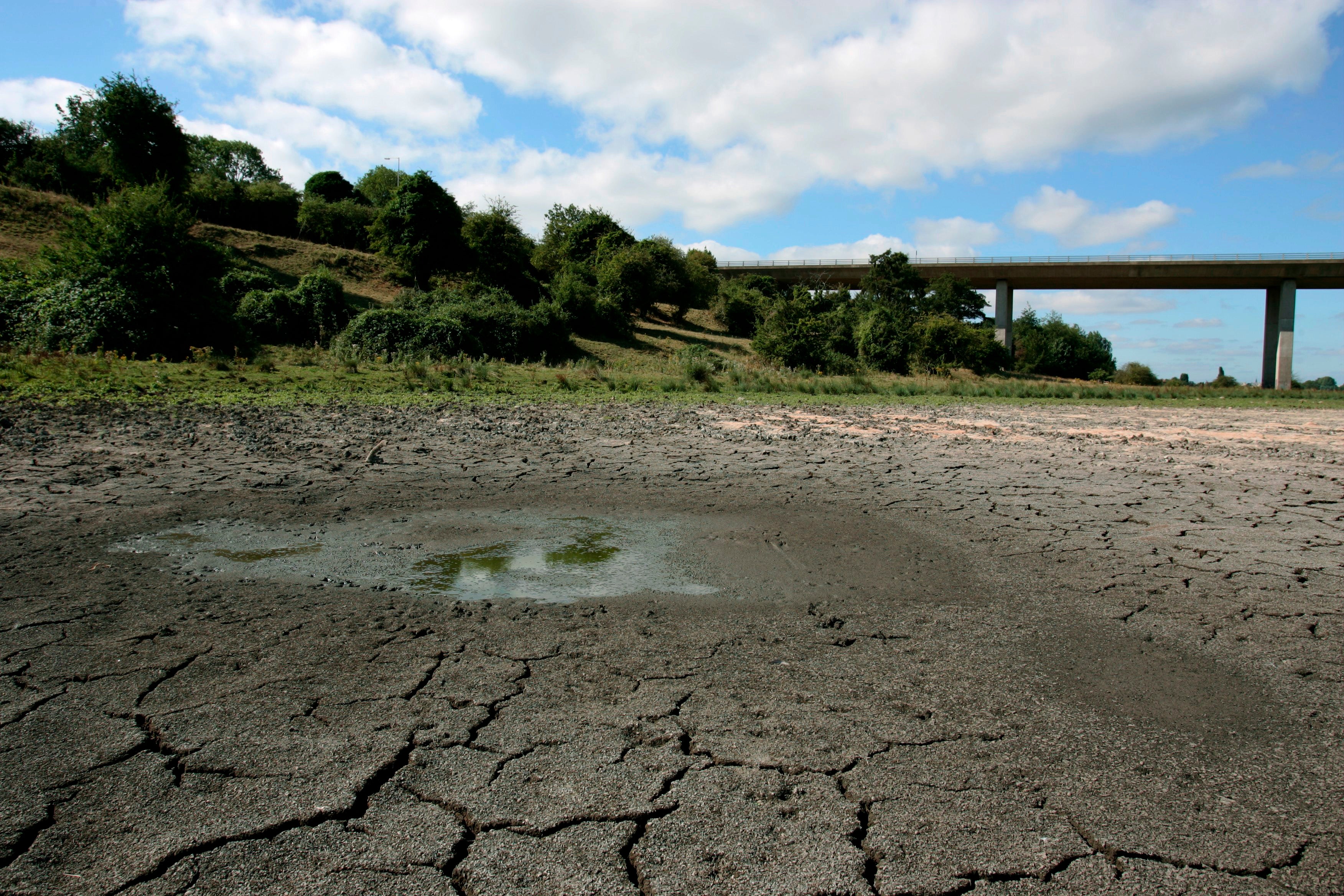 A dried up river bed in Hertfordshire. The UK heatwaves in 2018 were made 30 times more likely by the climate emergency, and led to 8,500 heat-related deaths in the UK