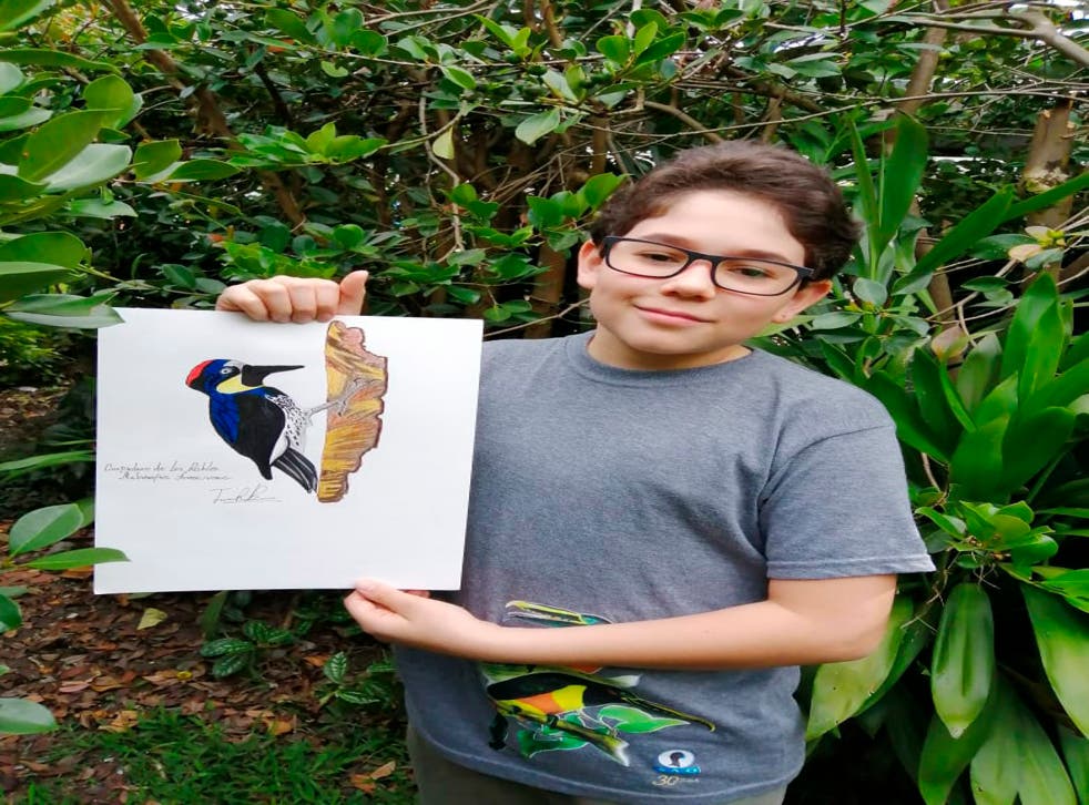 NIÑO COLOMBIANO AVES