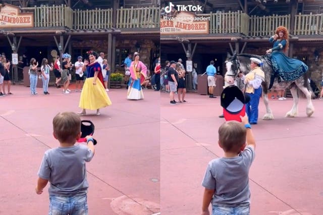 <p>Little boy praised after viral TikTok sees him tipping hat to Disney princesses </p>