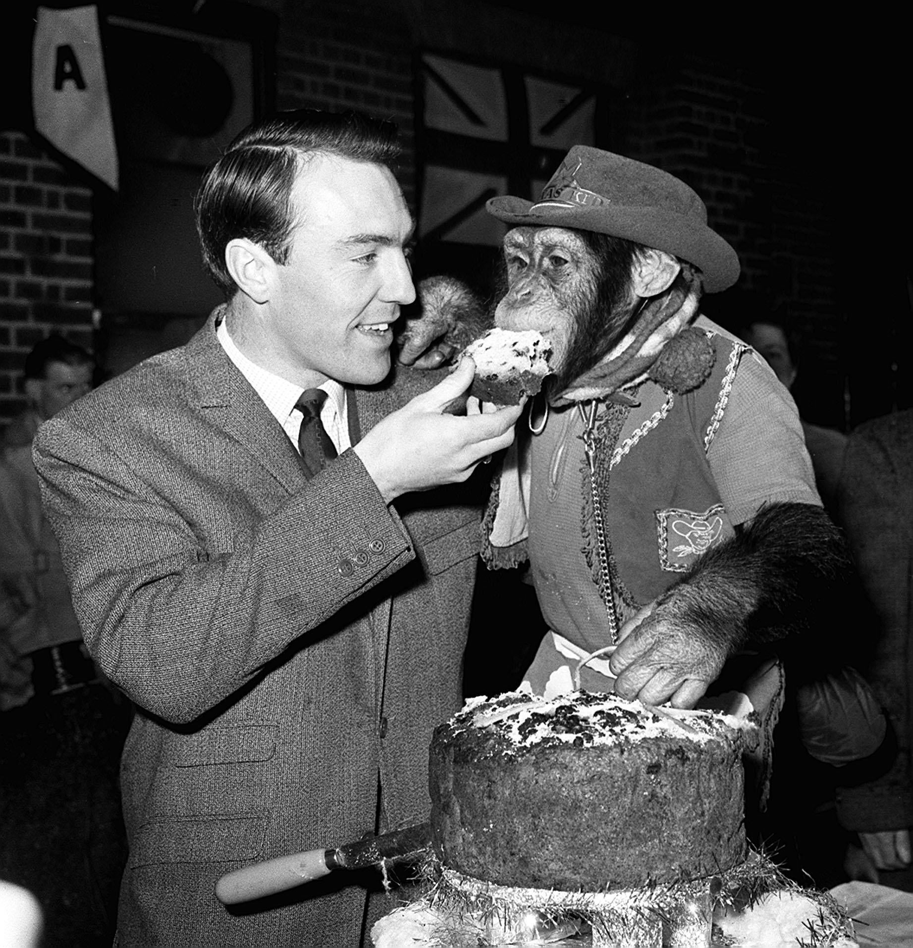 Jimmy Greaves meeting Linda the chimpanzee in 1964 (PA)