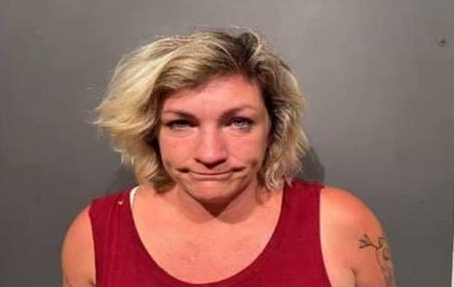 <p>Erin Garcia, 44, was arrested on Thursday by Placentia Police after dragging her 8-year-old with her car when the child tried to stop her from allegedly driving drunk</p>