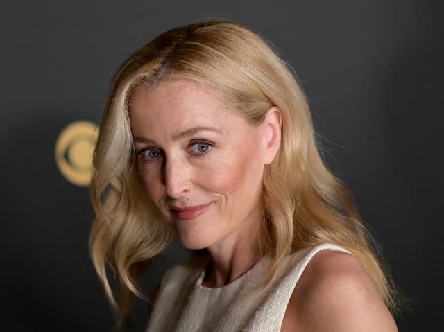 <p>Gillian Anderson</p>