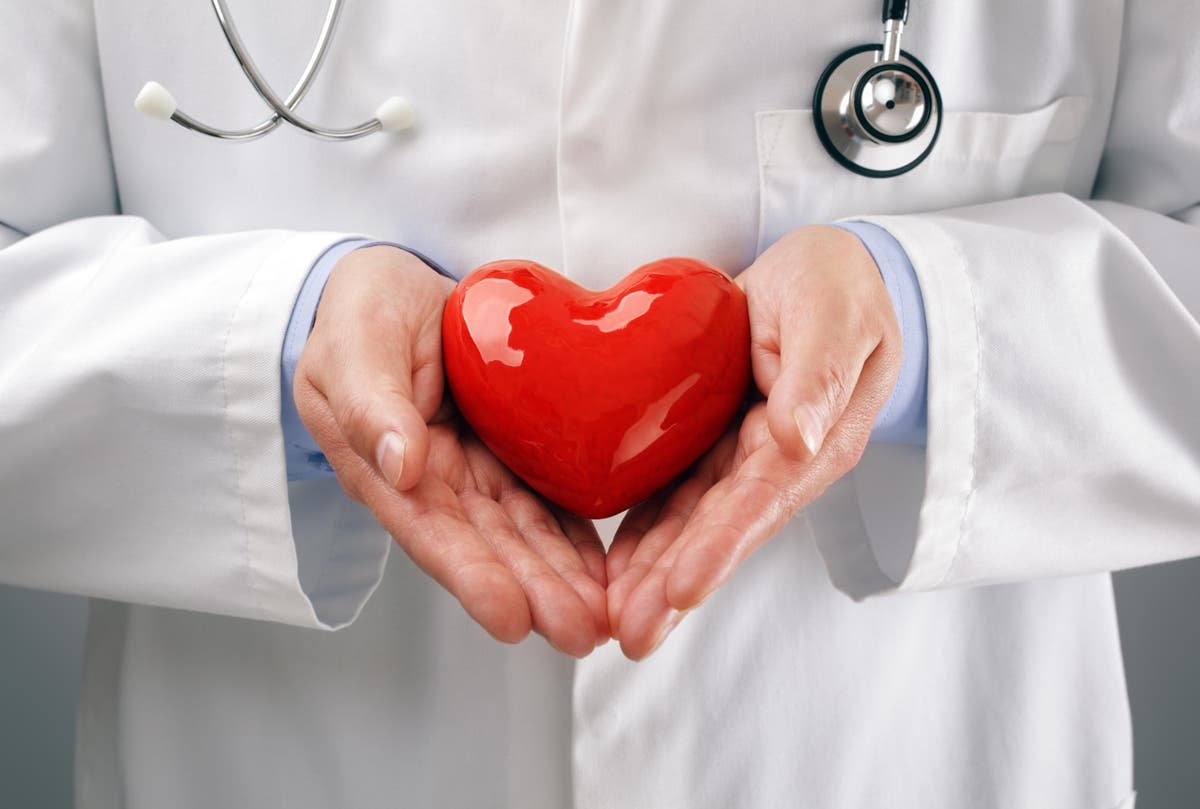 Сердце человека и доктор. Сердце кардиология. Врач с сердечком. Врач с сердечком в руках. Сердце в руках медицина.