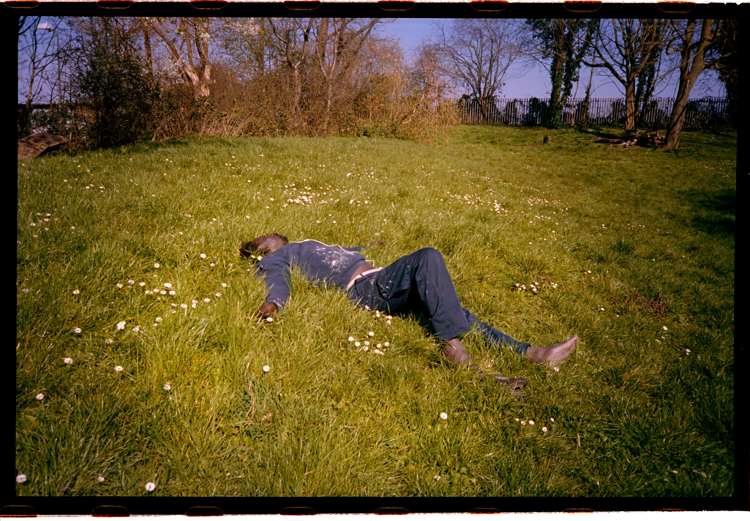 A man rests amongst the daisies at the beginning of the pandemic on a beautiful spring day