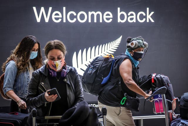 <p>Passengers arrive from New Zealand at Sydney International Airport</p>