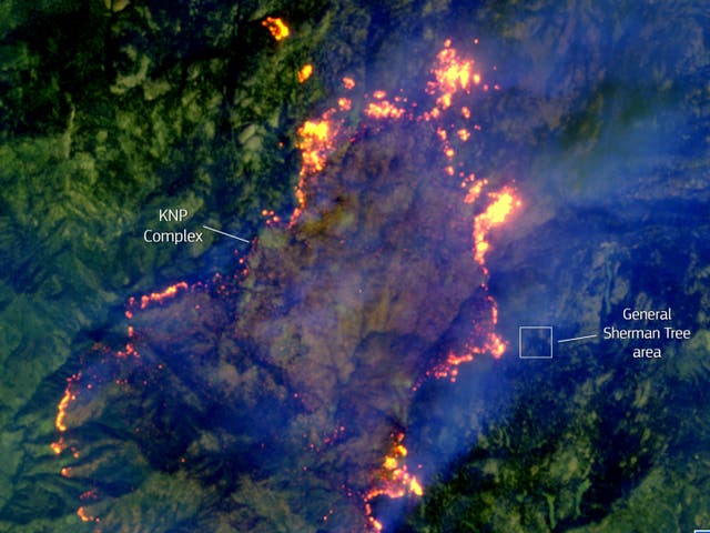 <p>A satellite image on 18 September 2021, shows the KNP Complex fire in California moving towards the site of General Sherman, the largest single stem tree in the world</p>