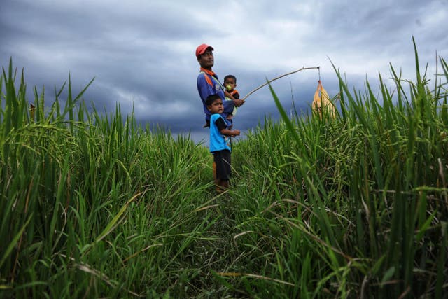 <p>El calor, la sequía, las inundaciones, las tormentas, el aumento del nivel del mar y la infestación de insectos son solo algunos de los riesgos climáticos a los que se enfrentan los productores de alimentos. </p>