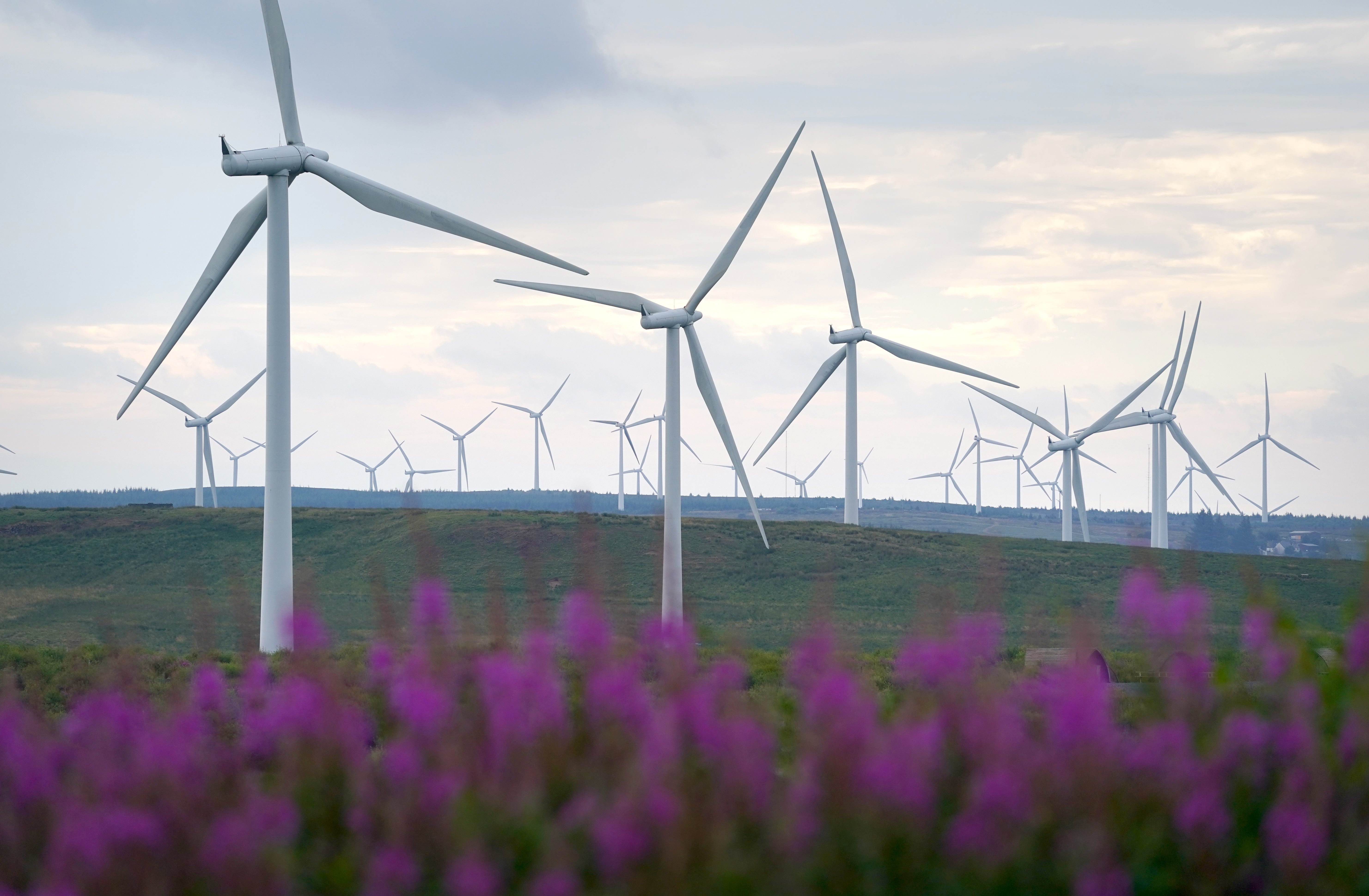 Wind power production has soared in the past decade