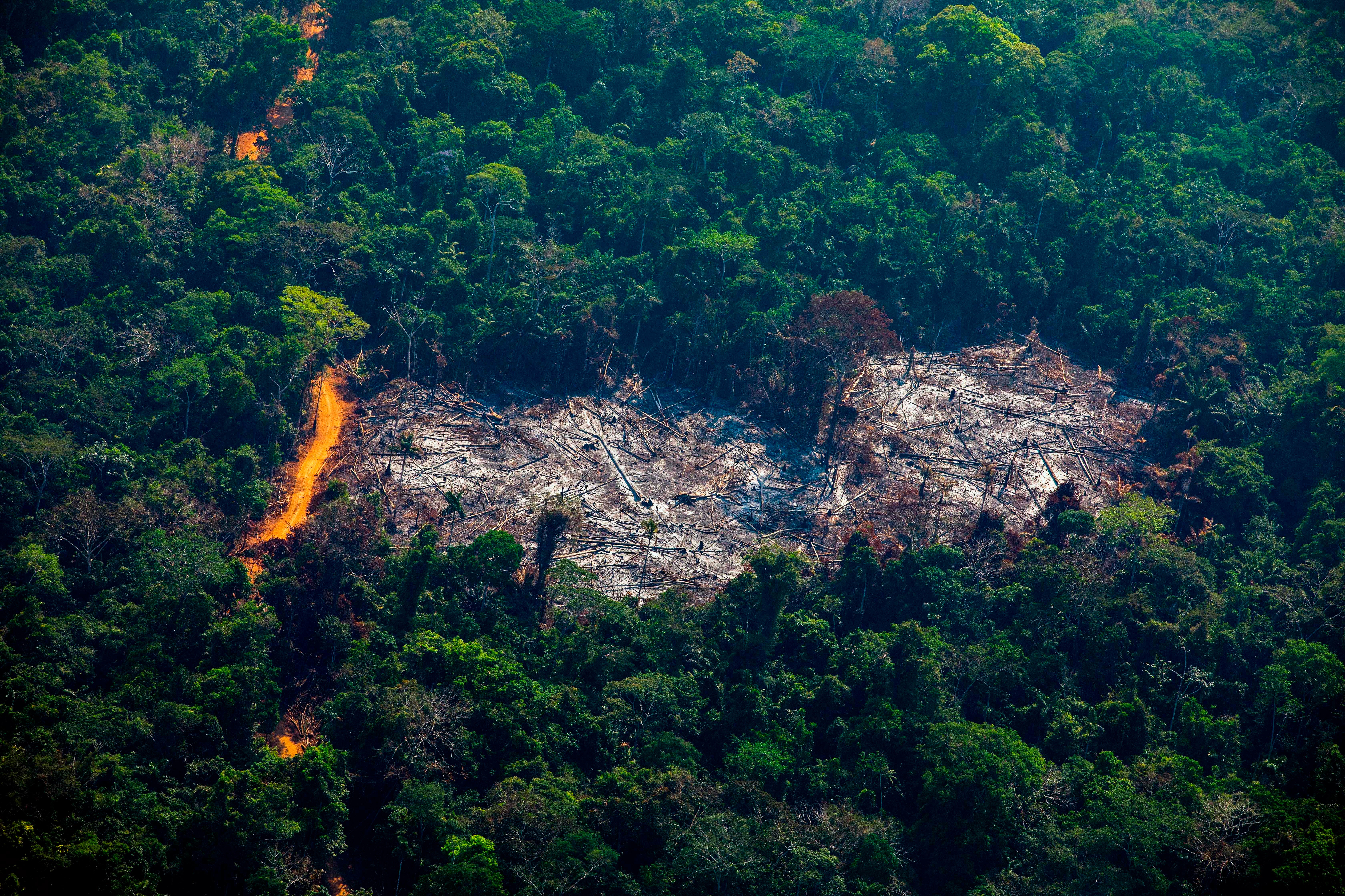 An aerial view of deforestation in Altamira, Para state, Brazil