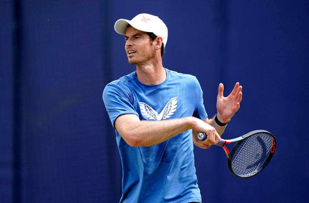 Andy Murray fights back to defeat Humbert at Moselle Open 