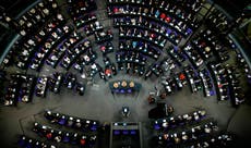 Germany's diversity shows as immigrants run for parliament