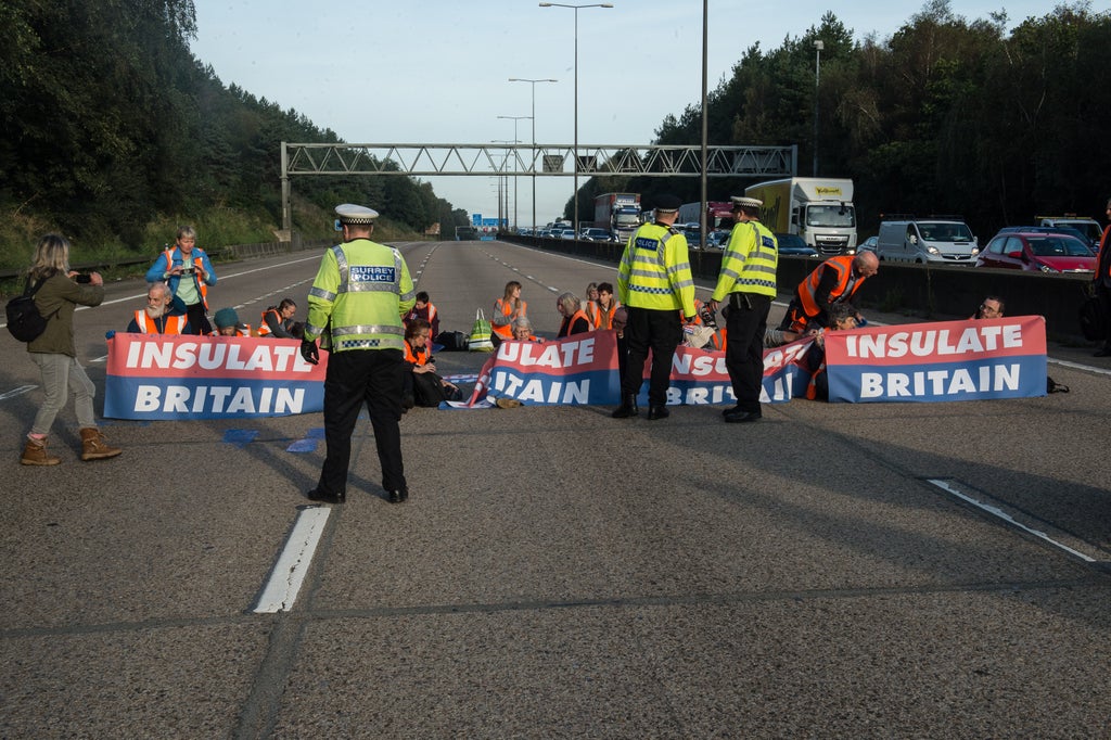 M25 protest: Activists risk prison terms over motorway demonstrations after judge grants injunction