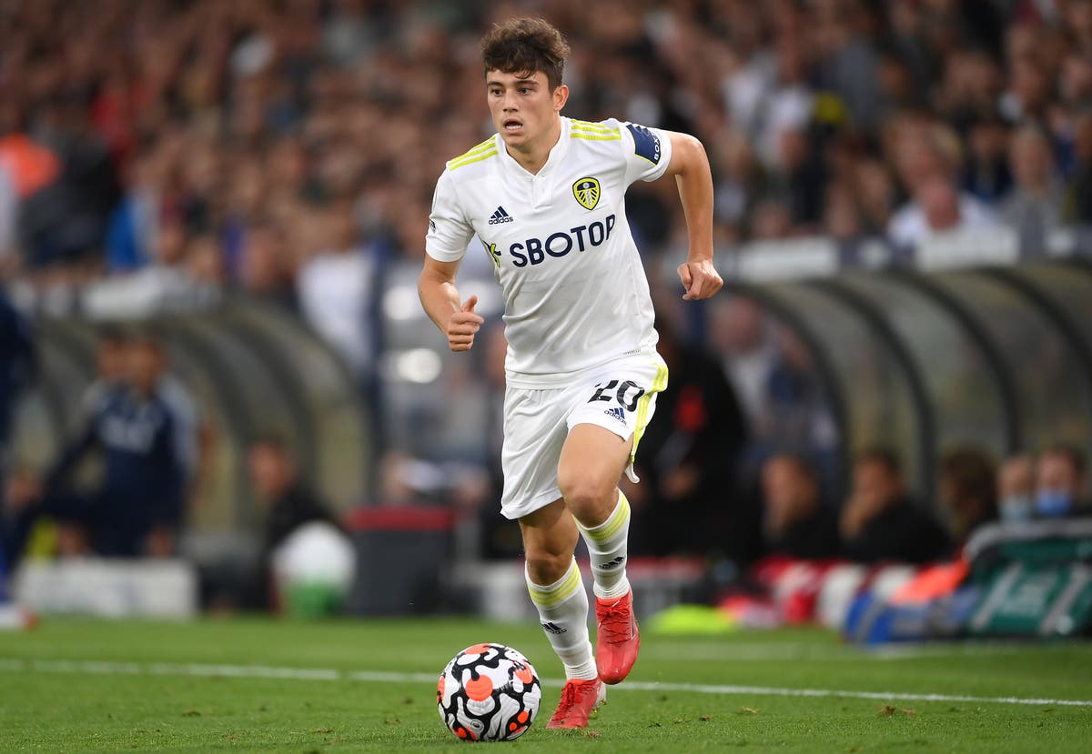 Dan James describes ‘amazing day’ after playing for Leeds hours after becoming a dad