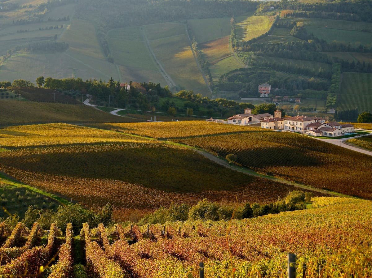 Seven of the best foodie stops on a culinary odyssey around Emilia-Romagna