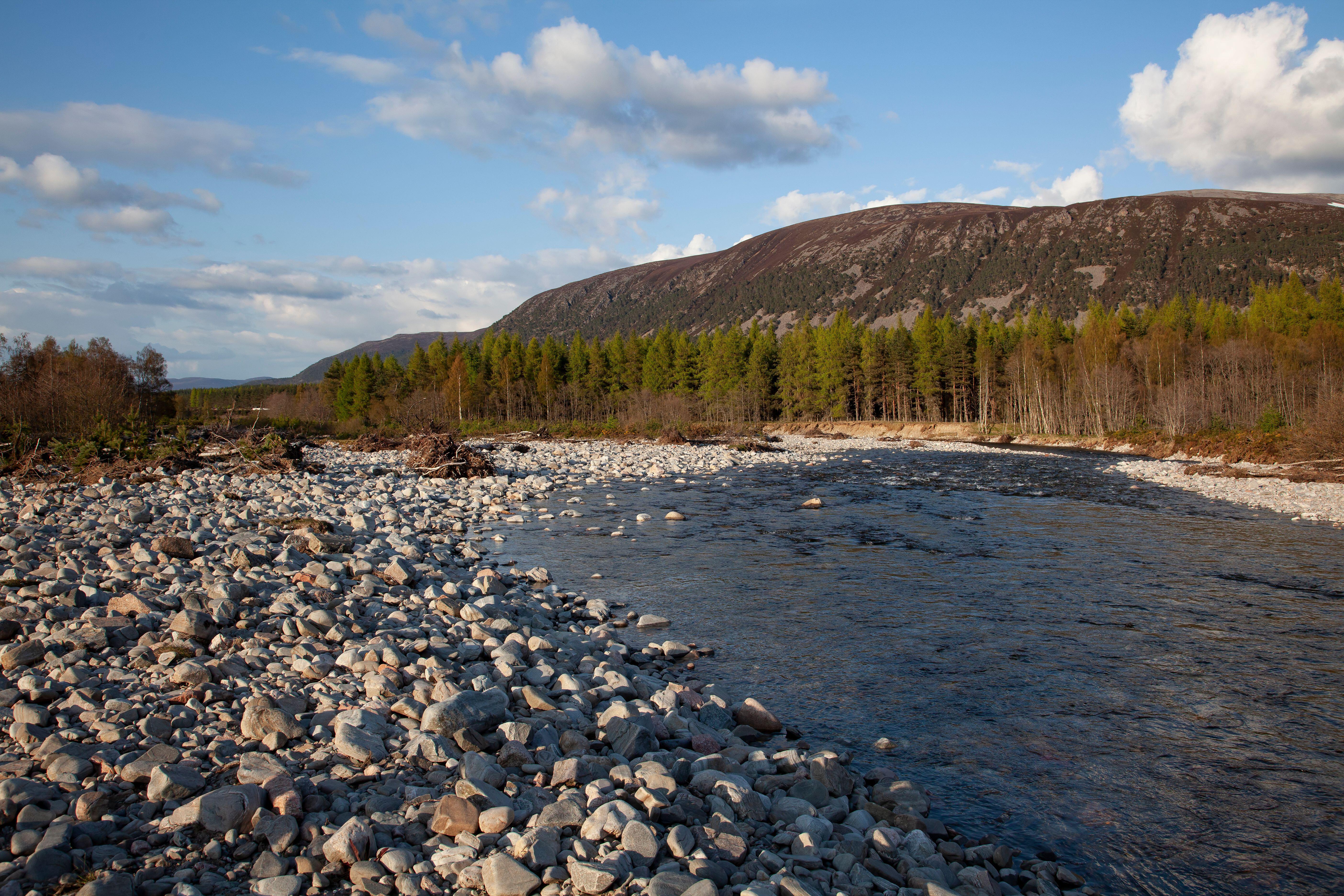 The River Feshie running through Glenfeshie in the Cairngorms National Park, Scotland (Alamy/PA)