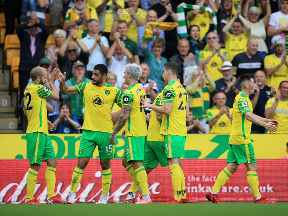 Norwich are rock bottom of the Premier League table and still in search of their first points