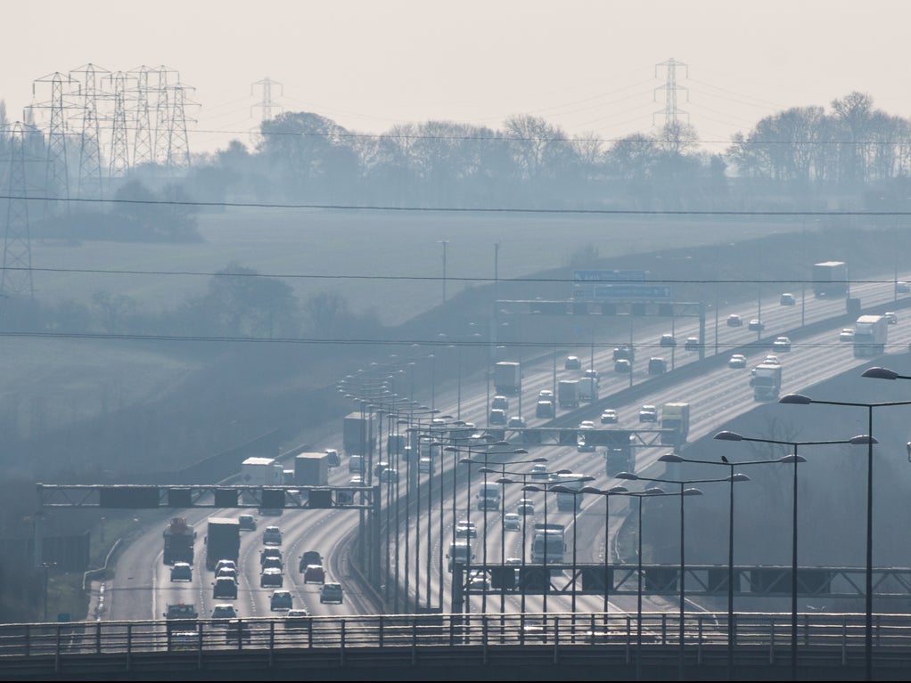 <p>‘The World Health Organisation has announced substantially stricter clean air standards, which will save millions of lives across the globe from air pollution’ </p>